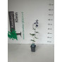 Delphinium (P) Black Knight - Ridderspoor - 