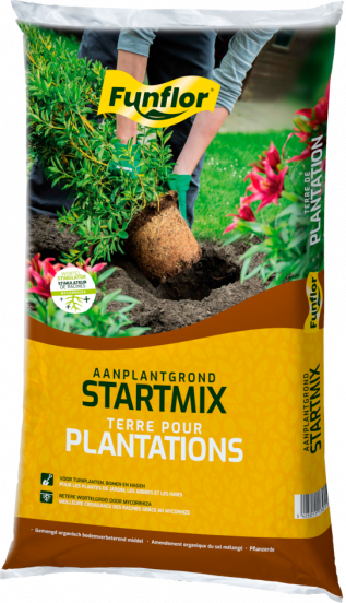 Funflor Startmix