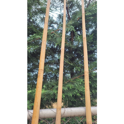 Tonkinstokken - Bamboestokken