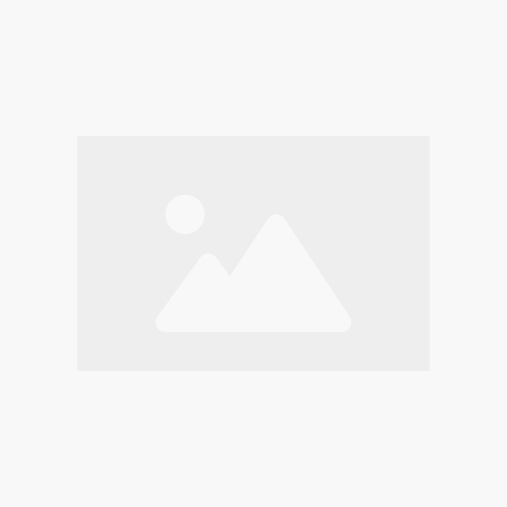 Ligustrum vulgare ‘Atrovirens’ - Liguster 