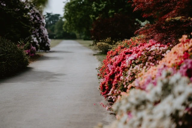 Hoe legt u een tuinborder aan?