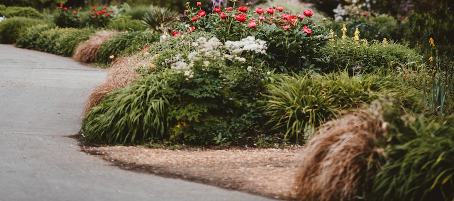 Hoe legt u de mooiste border aan in uw tuin?