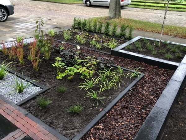 Met moderne borderbeplanting zorg je voor strakke lijnen in je moderne tuin