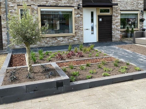 De beplanting in een moderne tuin zorgt voor een rustig en sfeervol geheel