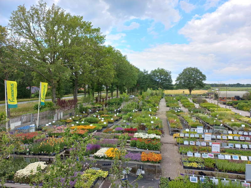 Bij het tuincentrum in Drenthe kunt u de mooiste tuinplanten komen bewonderen.