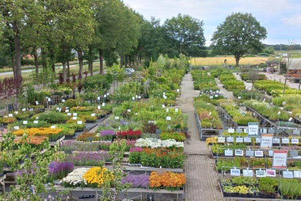 De mooiste laanbomen en tuinplanten koopt u bij Kwekerij Klein.