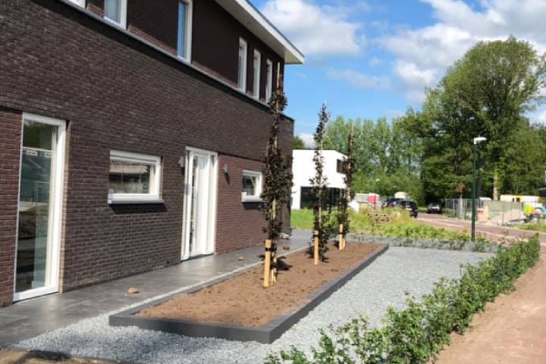 Strak aangeplante sierbomen voor in de tuin.