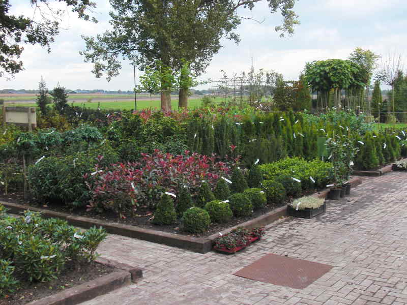Neem een kijkje bij ons mooie tuincentrum in Drenthe, Zuidwolde, en koop de mooiste tuinplanten hier.