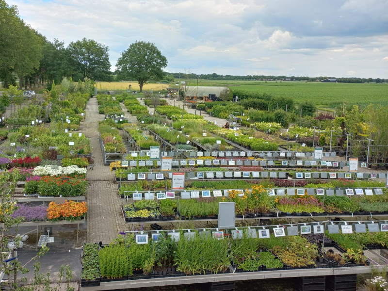 Neem een kijkje bij ons mooie tuincentrum in Zuidwolde, Drenthe.