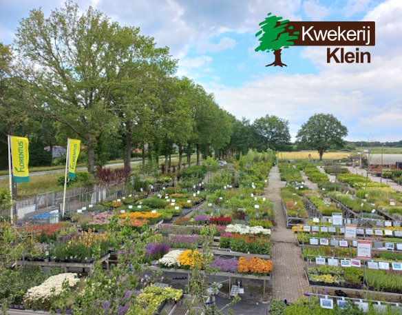 Tuinplantenshop en tuinplantenwebshop Kwekerij Klein