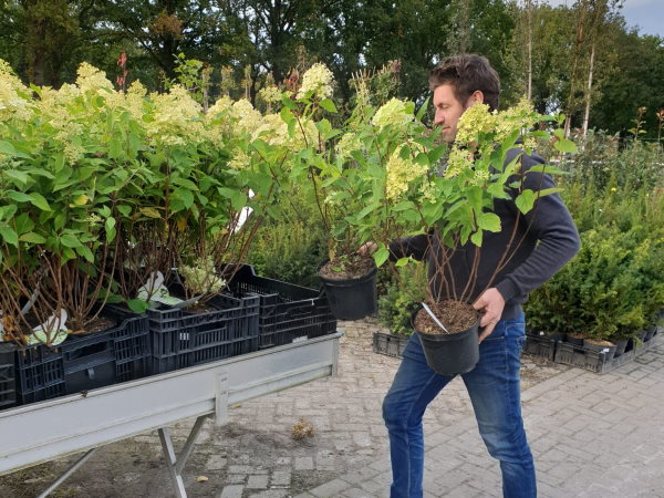 In Zuidwolde, Drenthe vindt u het tuincentrum Kwekerij Klein