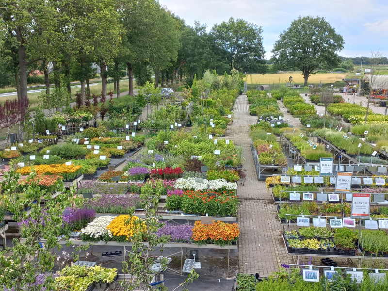 Bij het tuincentrum in Zuidwolde kunt u de mooiste tuinplanten komen bewonderen.